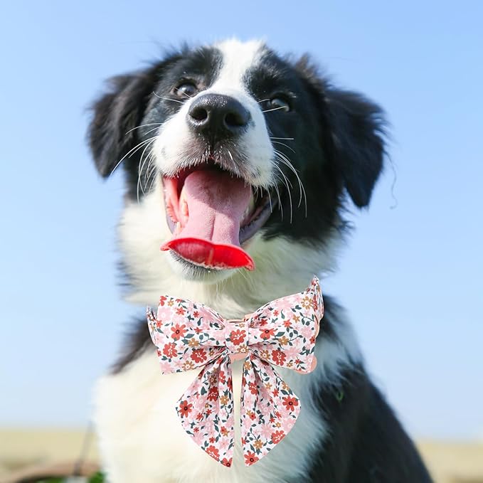 Flower Bowtie Dog Collar With Metal Buckle - Summer Comfortable Cotton Collar for Puppy Boy Girl, XS