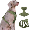 No Pull Dog Harness with Lycra, Three-Point Force Dispersion & 3D Padding, Adjustable Breathable Mesh for Small Medium Large Dogs(Misty Green,M)