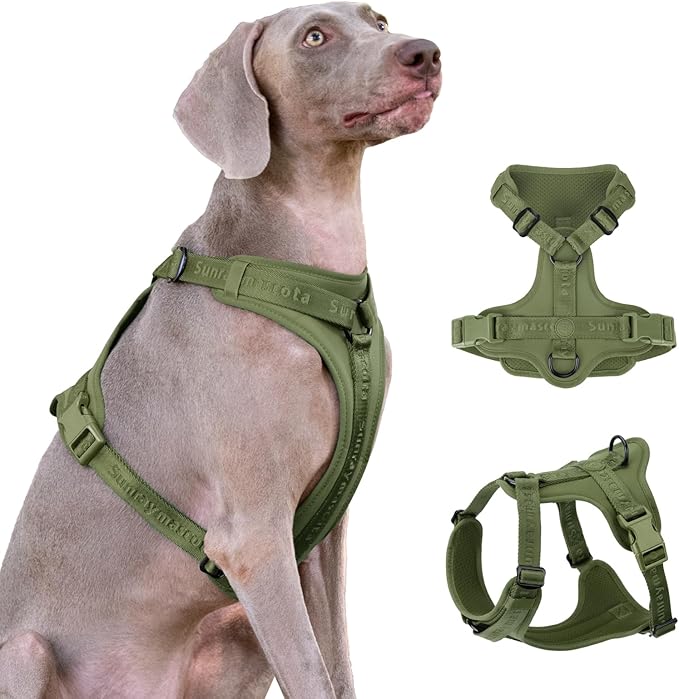 No Pull Dog Harness with Lycra, Three-Point Force Dispersion & 3D Padding, Adjustable Breathable Mesh for Small Medium Large Dogs(Misty Green,M)