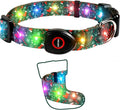 Christmas Light Up Dog Collar, LED Dog Collar Glow in The Dark - USBC Rechargeable, 3 Flashing Modes, Fashionable Cute Glowing Dog Light Up Collars for Medium Large Dogs, Stocking M