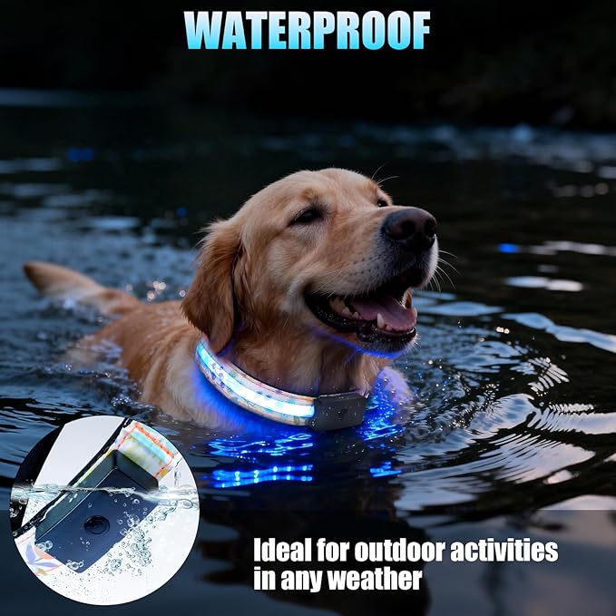 LED Dog Collar - Brightest Light Up Dog Collars - 1,600 Feet of High Visibility - Magnetic Charging - Dog Lights for Night Walking, Flower Medium