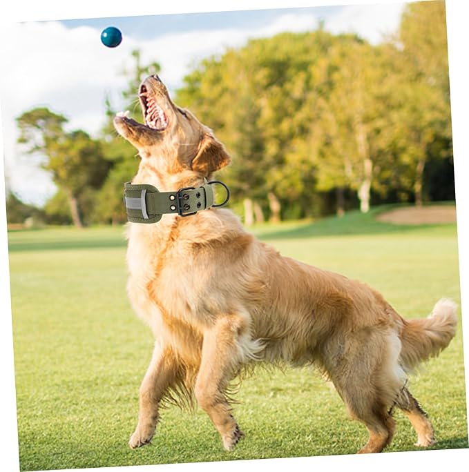Reflective Heavy Duty Adjustable Pet Accessory for and Outdoor Use