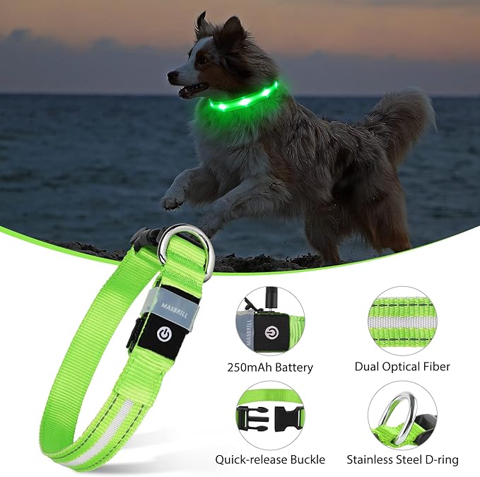 MASBRILL Led Dog Collar, Rechargeable Water-Resistant Night Safety Collar