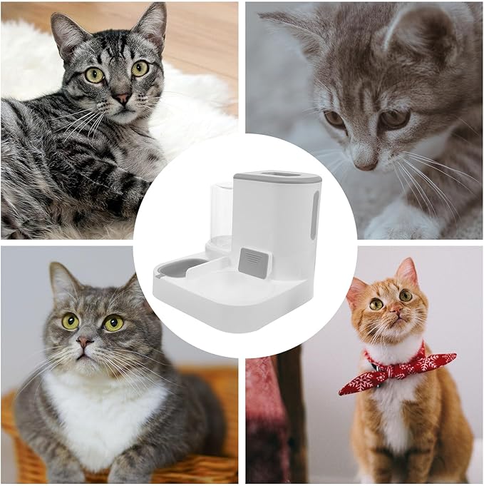 DOITOOL Automatic Pet Feeder and Water Bowl, Large Capacity Dry and Wet Food Separation, Detachable Cat and Small Dog Feeder for Home Use, Gray