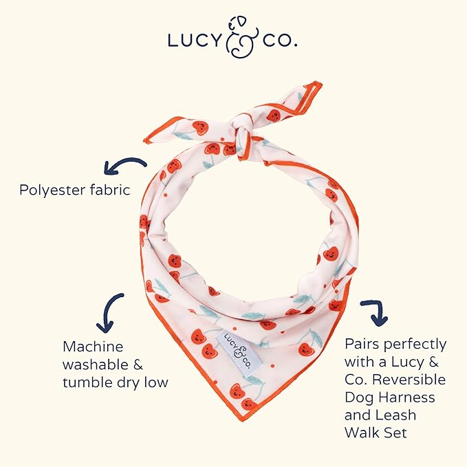 Lucy & Co. Cheery Cherries Bandana - Durable Comfortable Dog Bandana - Designer Puppy Accessory - Machine Washable - Small - Red Gingham Cherries