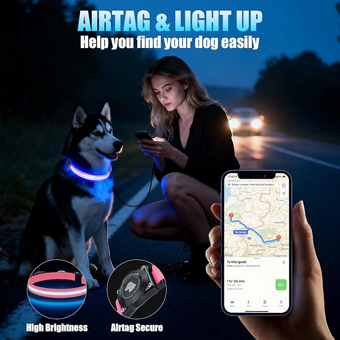 LED AirTag Dog Collar - Brightest Light Up Dog Collars - IP68 Waterproof Air Tag Dog Collar Holder - 1,600 Feet of High Visibility - Magnetic Charging - Dog Lights for Night Walking, Pink L