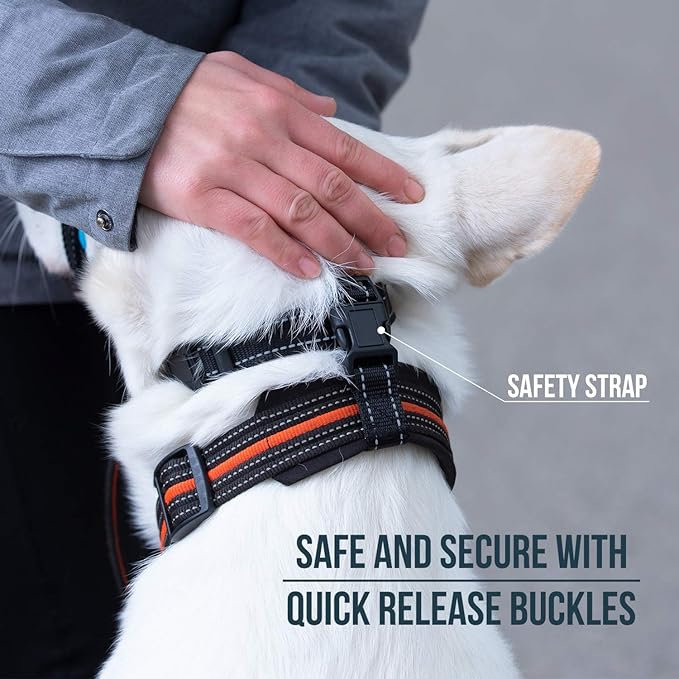 GoodBoy Dog Head Halter with Safety Strap - Stops Heavy Pulling On The Leash - Padded Headcollar for Small Medium and Large Dog Sizes - Head Collar Training Guide Included (Size 3, Blue)