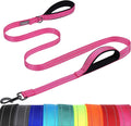 VIVAGLORY Twingrip Dog Leash, Double Handle Dog Leash for Training & Walking with Traffic Handle & 2 Loop, Traffic Control Reflective Heavy Duty for Puppy Pet, 6ft x 1in, Pink