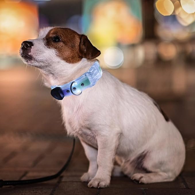 Light Up LED Dog Collar - Rechargeable Pet Necklace Accessory, Adjustable Luminous Collar,PVC Rubber Coated LED Dog Collarr Specification | Lighted Outdoor Protectionfor Small,Medium and Large Breeds