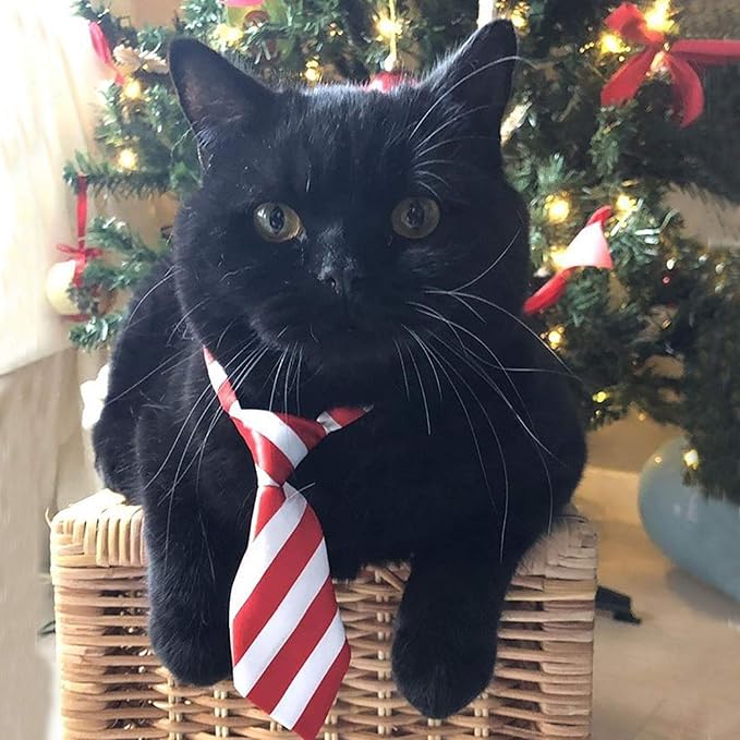 Segarty Small Dog Ties, 40 Pack Adjustable Pet Bow Ties Assorted Pattern for Small Dogs Cats Bowties Puppy Neckties Grooming Bows Festival Photography Holiday Party Valentine Costumes Birthday Gift