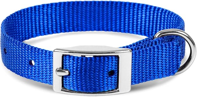 Jeffers Pet Solid Web Nylon Dog Collar for Small, Medium, Large Dogs – Adjustable Pet Collar, Nickel Plated Hardware – Strong, Durable, Comfortable – Outdoor, Training Use - Royal Blue 5/8" W x 10" L