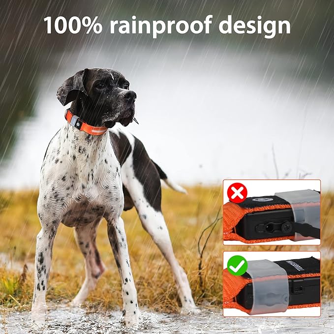 MASBRILL Led Dog Collar, Rechargeable Water-Resistant Flashing Glowing Night Safety Adjustable Illuminated Collar