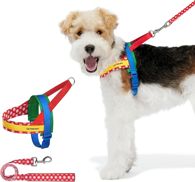 VETRESKA MoMA Dog Harness and Leash Set, Easy Walk Dog Harness for Small Medium Dogs, No Pull Puppy Harness for Walking and Training, Adjustable, Take Control & Anti-Twist Pet Lead Combo(Red, XS)
