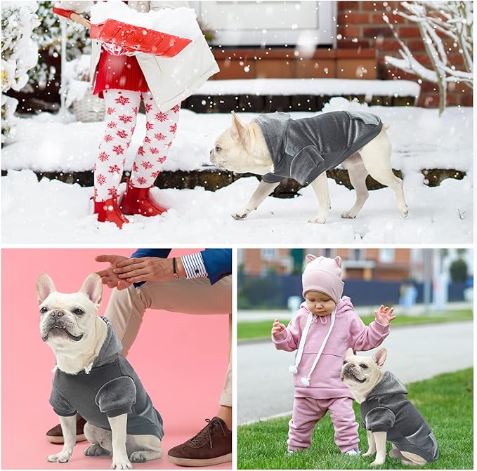 BEAUTYZOO Dog Hoodie Sweaters for Small Medium Dogs- Warm Fall Winter Fleece Jacket for Cold Weather, Soft Velour Hooded Coat with Leash Hole & Pocket, Puppy Sweatshirt Clothes Bulldog Schnauzer, Grey