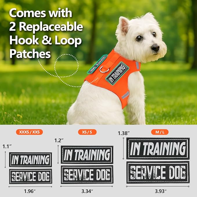 Dog Harness for Puppy – Adjustable Reflective Easy Put On Soft Mesh Vest for Small Dogs with 2 Patches (Orange,XXS)