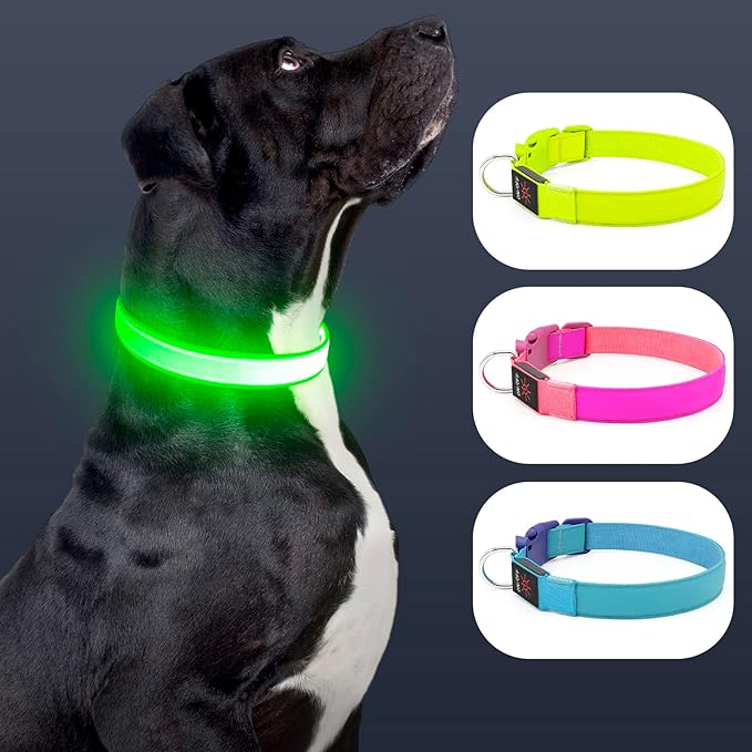 LED Dog Collar Light Up Dog Collars USB Rechargeable, Adjustable Size Heavy Duty TPU Nylon Webbing Glow Safety Basic Dog Collars for Large Medium Dogs (M, Neon Green)…