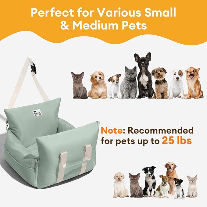 FUNNY FUZZY Dog Car Booster Seat for Small/Medium Dogs up to 25lbs – Waterproof, Non-Slip Base, Safety Leash & Fully Washable Design for Safe and Comfortable Travel (Light Green)