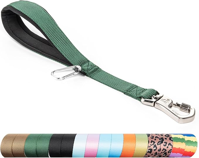 TSPRO Dog Training Leash with Sturdy Metal Buckle, 14 Inches Short Leash for Large Dogs, Comfortable Padded Handle (Green)