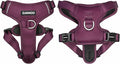 DJANGO Tahoe No Pull Dog Harness – Escape-Proof Dog Harness for Small Dogs with Front & Back Clips for Everyday Use – Adjustable, Padded, Reflective, Secure Fit, Easy On/Off – Raspberry Purple, Small
