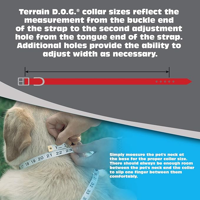 Terrain D.O.G. Brahma Webb Dog Collar