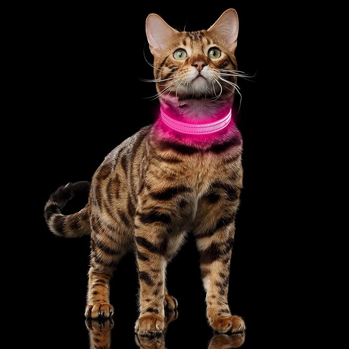 Illumifun LED Cat Collar, USB Rechargeable Light Up Dog Collar, Adjustable Safety Collar Light for Small Dogs Cats Glow in The Dark (Pink, X-Small)