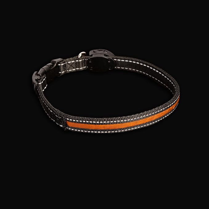 Sherry Kline LED Light-Up Pet Collar - USB Rechargeable - Flashing Glow in The Dark Size Large, Color: Orange