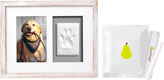 Pearhead Pet Pawprints Wall Picture Frame and Clay Impression Kit - DIY Clay Paw Print, Memorial Keepsake Frame for Cat and Dog, Ideal Home Decor Gift for Pet Owners, 4x6 Photo, Distressed White