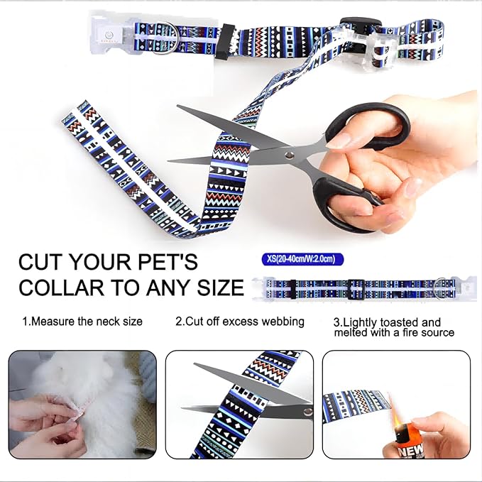 Light Up Dog Collars,LED Dog Collar Rechargeable Waterproof,2-in-1 Buckle Type Glow Collar for Medium Large Dogs.XS(Bohemian Blue)