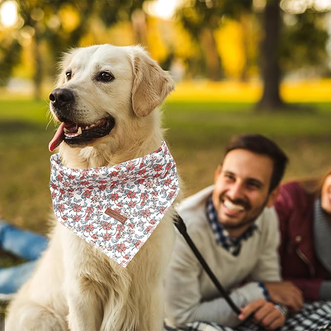 Lionheart Glory Dog Bandana - Washable Soft Scarf, Fall Bib for Small to Large Puppies - Adjustable Square Bandana for Boys and Girls