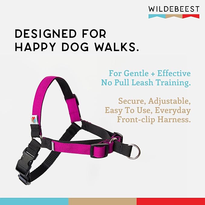 Wildebeest No Pull Dog Harness | Comfortable Training Harnesses | Effective No Pull Harness Design | Ideal for Medium Sized Dog | 4-Point Adjustable(M - 22~28 inch Girth, Fuchsia)