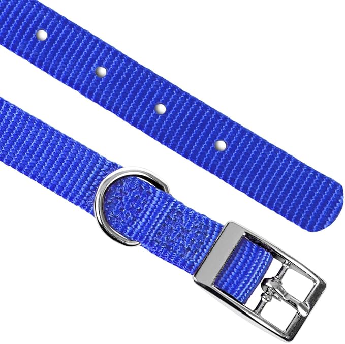 Jeffers 5/8" W x 12" L Dog Collar Color: Royal Blue