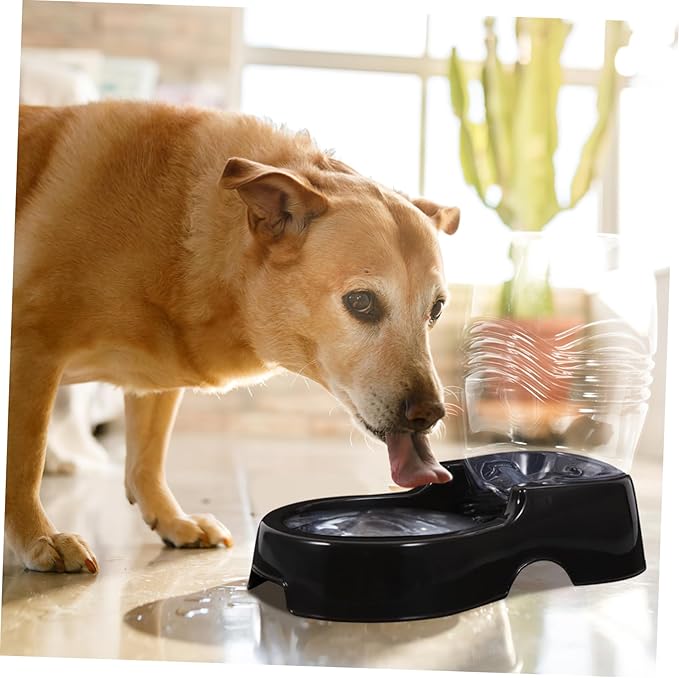 Yardwe Automatic PET Water Dispenser 900ml for Dogs and Cats Healthy Fountain Feeder Spill-Free Design for Home and Travel Random Color