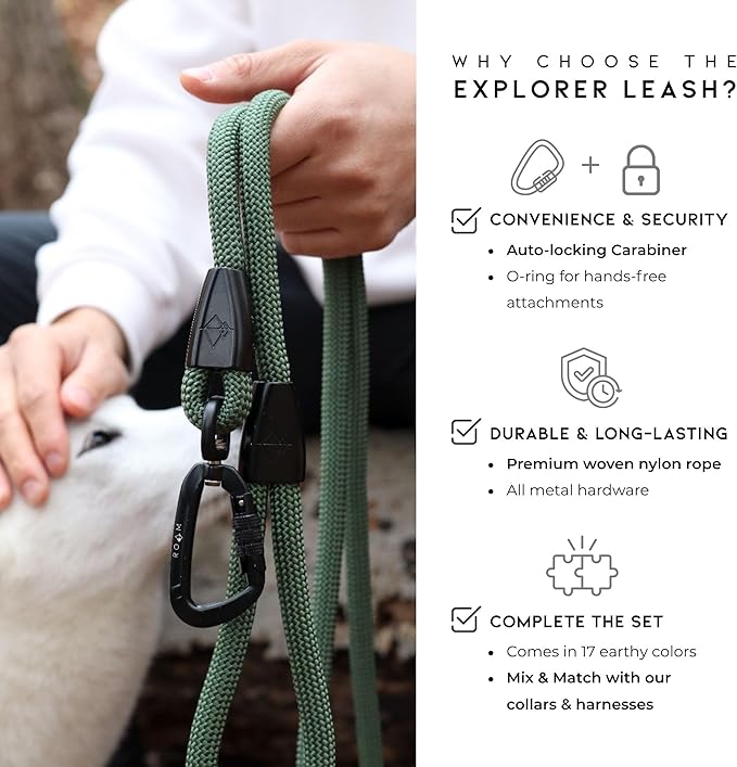 MADE TO ROAM Premium Explorer Leash - Climbing Rope Leash with Autolocking Aviation Aluminum Carabiner - California Horizon, 4ft
