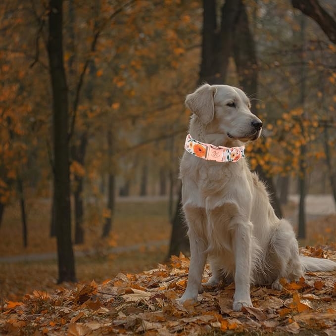 Elegant Little Tail Fall Dog Collar - Durable Orange Floral Dog Collar for Medium Dogs, Adjustable for Male or Female Pets - Perfect