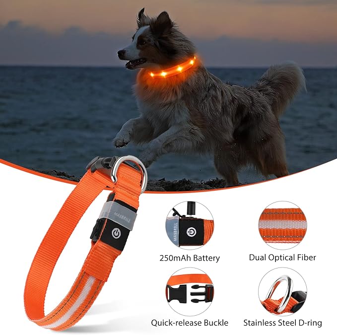 MASBRILL Led Dog Collar, Rechargeable Water-Resistant Flashing Glowing Night Safety Adjustable Illuminated Collar