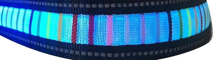 IT'S RIDIC! LED Rainbow Dog Collar Rechargeable via USB (Medium, Blue LED)