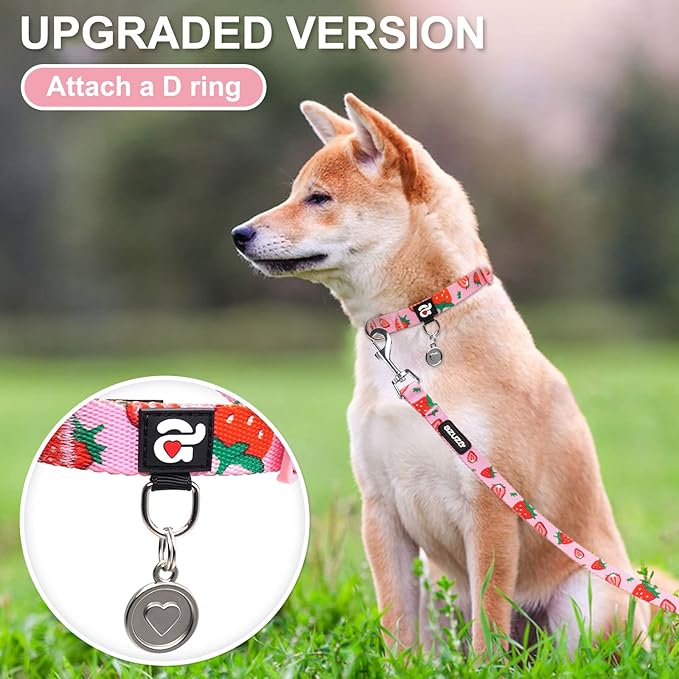 azuza Dog Collar and Leash Set, Cute Strawberry Patterns on Pink Nylon Collar and Matching Leash, Great Option for Medium Dogs