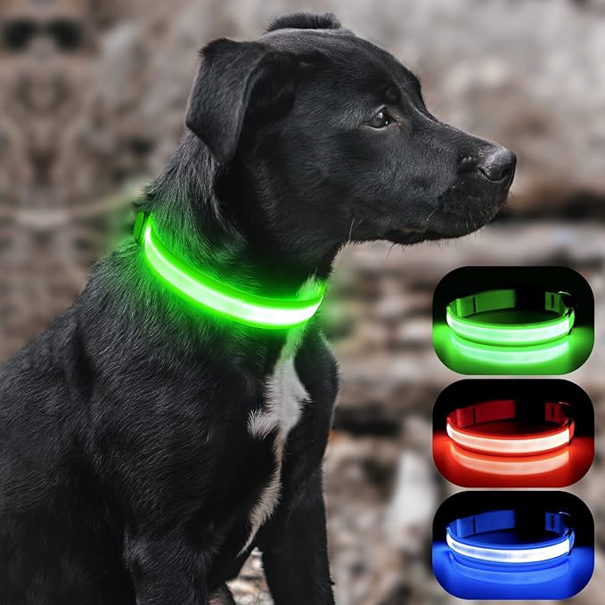 BSEEN Light Up Dog Collars - Rechargeable LED Dog Collar, Adjustable Dog Glow Collar, Reflective Pet Collar, Flashing Dog Lights for Night Walking (Neon Green, Large)