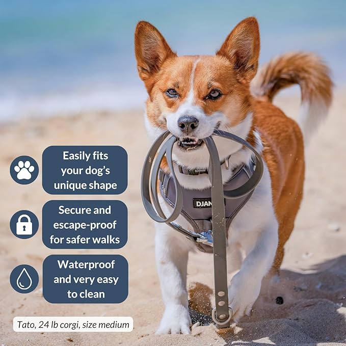 DJANGO Tahoe No Pull Dog Harness – Escape-Proof Dog Harness for Small & Medium with Front & Back Clips for Everyday Use – Adjustable, Padded, Reflective, Secure Fit, Easy On/Off – Poppy Gray, Medium