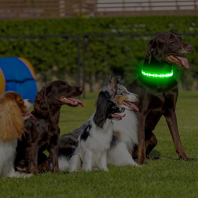 LED Dog Collar with Battery Display, Adjustable Light Up Dog Collars Rechargeable, Glowing in The Dark Reflective Light Collar Super Bright Safety Dog Light for Medium Large Small Pets (Green, M)