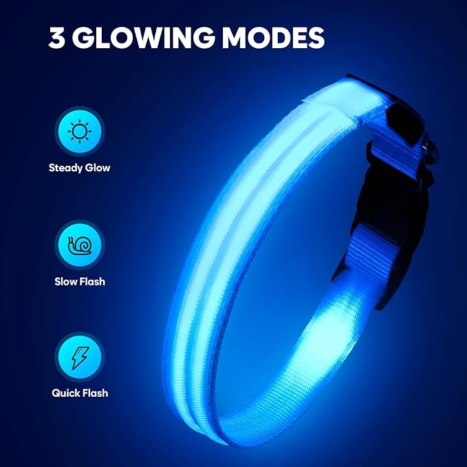 Light Up Dog Collar - Rechargeable LED Dog Collar Light Glow in The Dark Puppy Collar, Dog Camping Gear Adjustable Dog Collars for Small Dogs(Small, Blue)