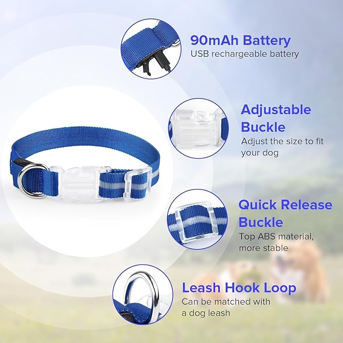 Baby Blue Medium LED Dog Collar | Night Walks just got Safer | Ultra-Bright LED Collar | USB Rechargeable | Waterproof | Adjustable & Durable | 4 Light Modes | Keep Your Pup & Yourself Safe!
