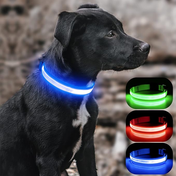 BSEEN LED Dog Collar - Reflective Light Up Dog Collars, Waterproof Lighted Pet Collars, Adjustable Dog Glow Collar, Rechargeable Dog Lights for Night Walking (Royal Blue, X-Large)