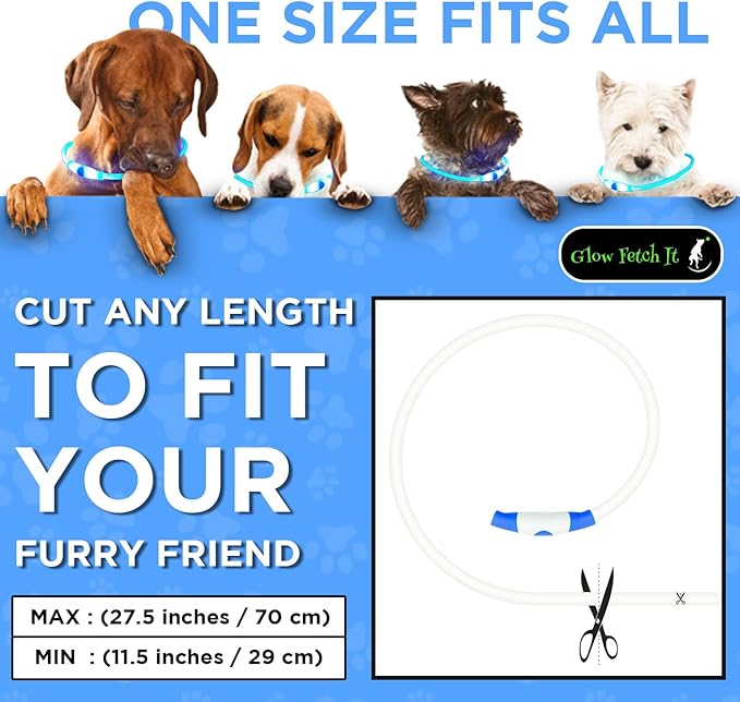 LED Dog Collar, Waterproof Light Up Dog Collar Rechargeable, Dog Safety Necklace for Night Walking, Adjustable Cut-to-Fit Silicone Collar Small Medium Large Dog 27.5” Cuttable (Blue)