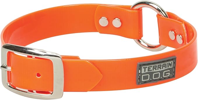 Terrain D.O.G. Brahma Webb Clear Coat Dog Collar, 1" x 25"