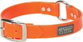 Terrain D.O.G. Brahma Webb Clear Coat Dog Collar, 1" x 21"