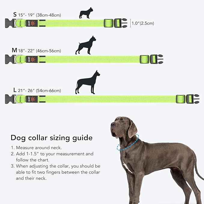 Weesiber Light Up Dog Collars - Rechargeable LED Collar - Reflective Adjustable Dog Lights for Night Walking (Green, Small)