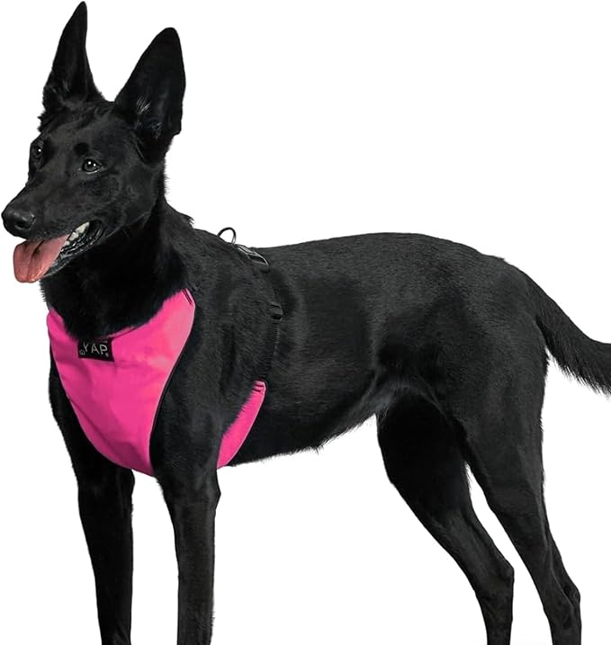 YAP Techno® Anti Pull Dog Harness, 4-Way Adjustable, Temperature Controlled Dog Vests for Large Dogs, Chokefree Dog Harness with Easy Control Handle for All Breeds; 45-90 lbs (Ultra Pink, Large)