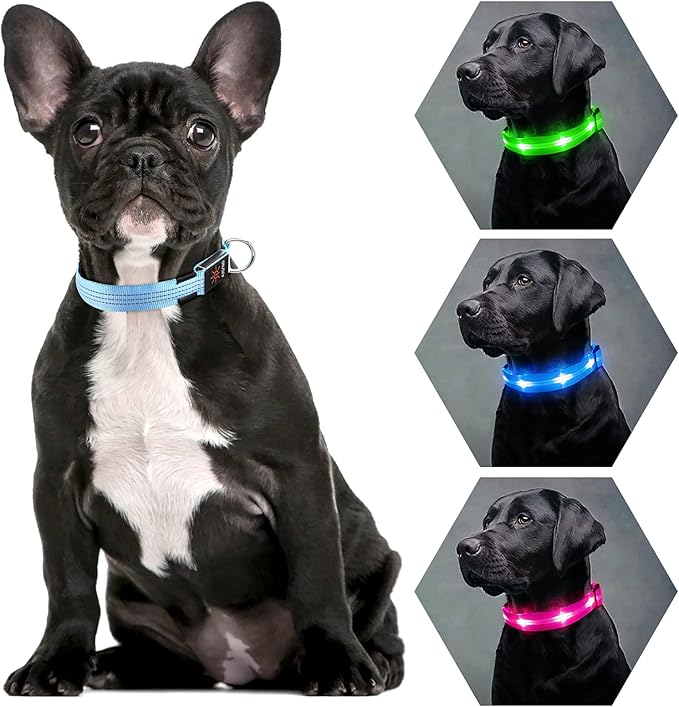 Weesiber Light Up Dog Collars - Rechargeable LED Collar - Reflective Adjustable Dog Lights for Night Walking (Blue, Small)