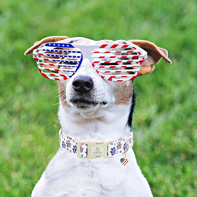 Lionheart glory American Flag Dog Collar, 4 of July Patriotic Independence Day Dog Collar Heavy Duty Adjustable Dog Collars for Medium Dogs Pet Gift Summer Collars Dog Cute Collars